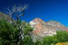 USA, Nevada, Elgin. Rainbow Canyon Art Print